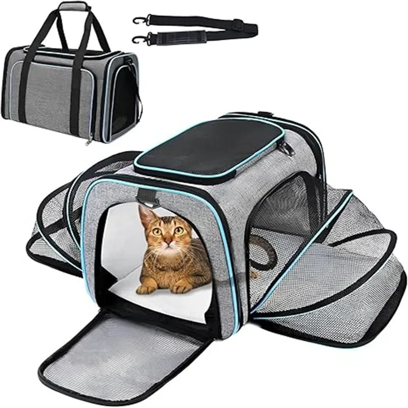 Foldable Backpack Small - Sac à dos de transport pliable