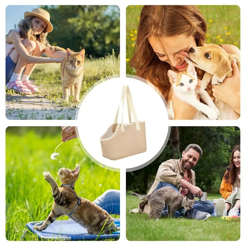 Porte-poitrine Portable pour c - Foldable Backpack Small avis et prix