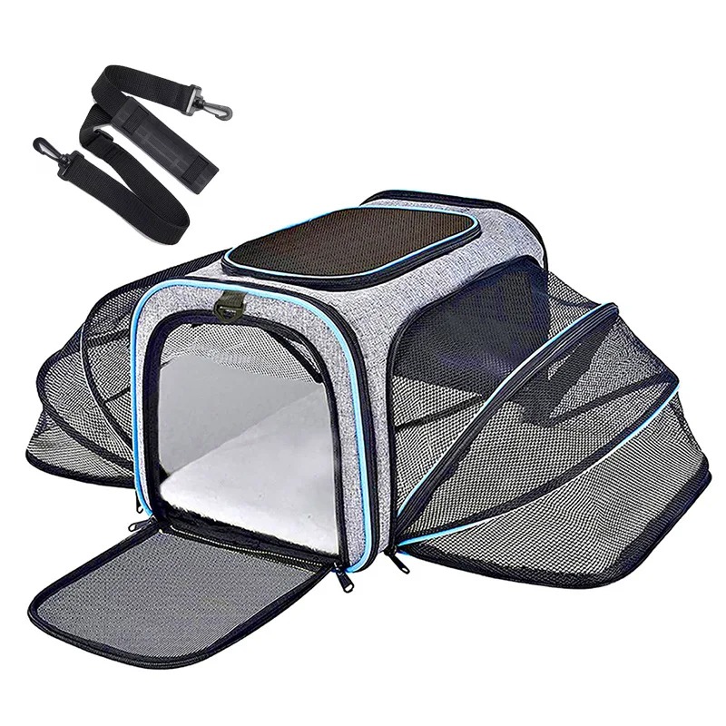 Sac à dos de transport pliable - Foldable Backpack Small avis et prix