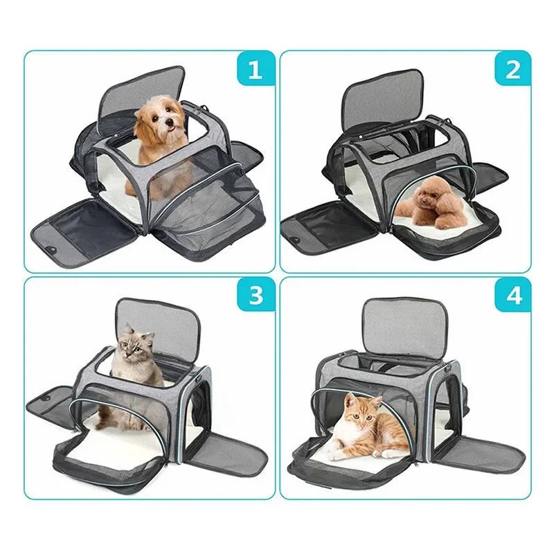 Sac à dos de transport pliable - Foldable Backpack Small avis et prix